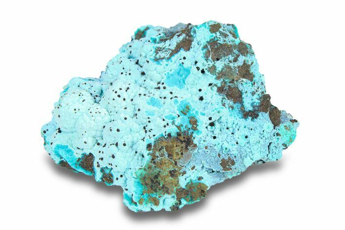 Bright Blue Botryoidal Chrysocolla - Planet Mine, Arizona #283883